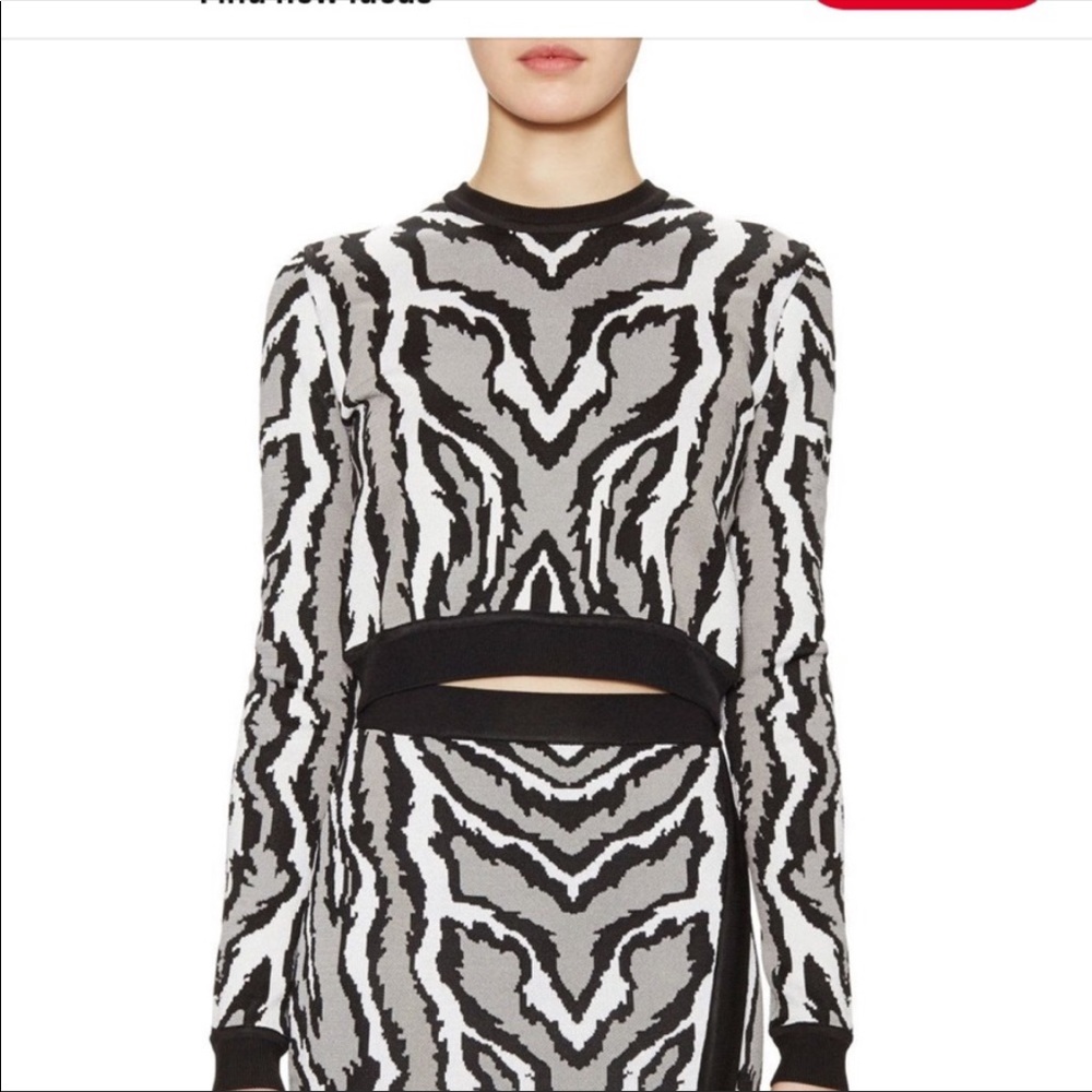 Torn by Ronny Kobo crop sweater